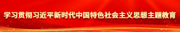 暴插h学习贯彻习近平新时代中国特色社会主义思想主题教育